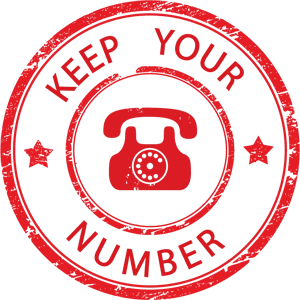 China VOIP SIP number porting process overview diagram